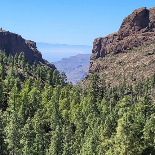 Vista a Tenerife, a 20 min caminando