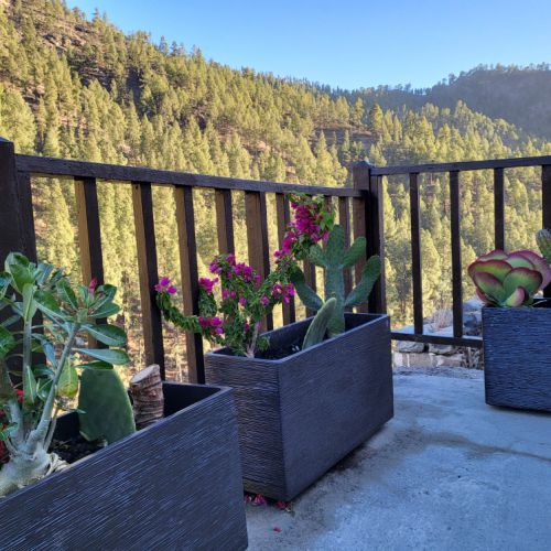 Maison Rurale Los Pinares El Juncal de Tejeda Grande Canarie