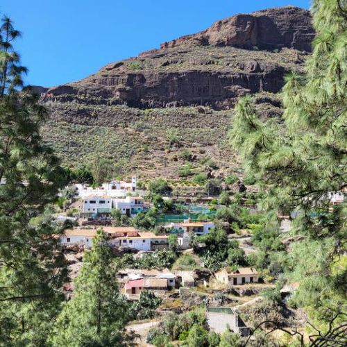 El Juncal de Tejeda, panoramic view from the pine forest