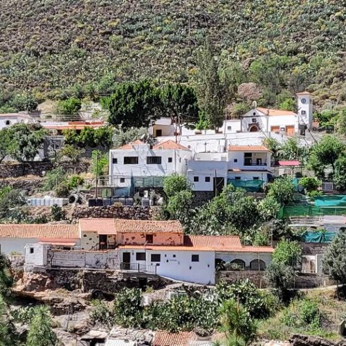 Los Pinares visto desde el pinar