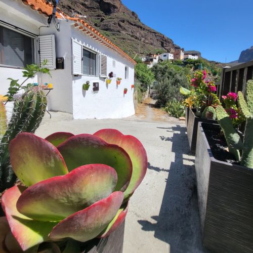 Maison Rurale Los Pinares El Juncal de Tejeda Grande Canarie
