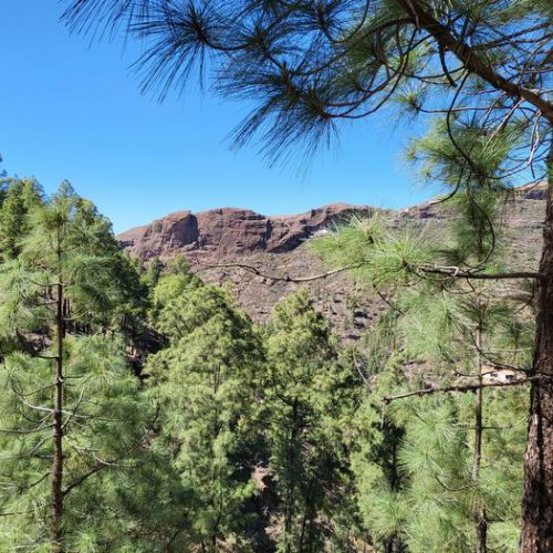 El Juncal mountain
