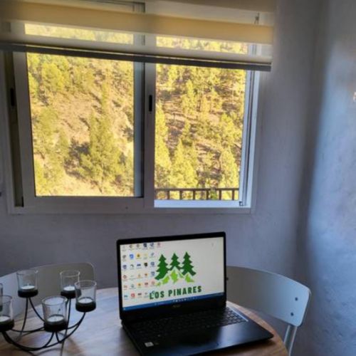 Zona de trabajo con vista a los pinos