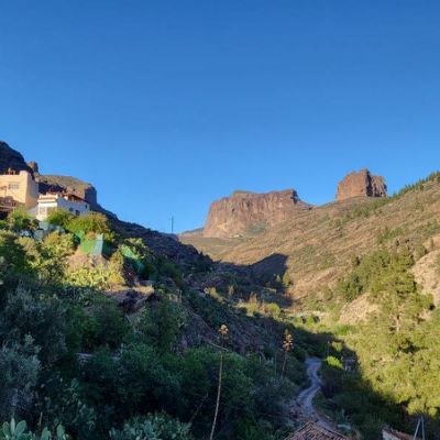 Los Pinares El Juncal de Tejeda Vue depuis la maison