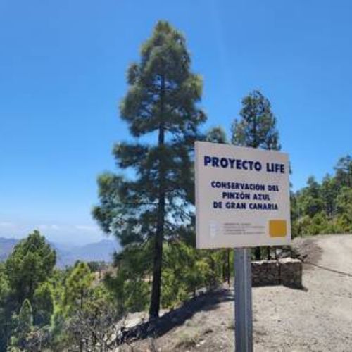 Schild Schutzgebiet für Pinson Azul