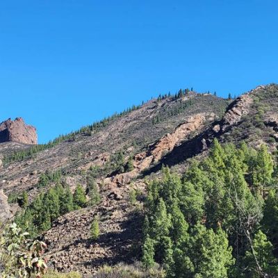 Los Pinares El Juncal de Tejeda Vue depuis la maison