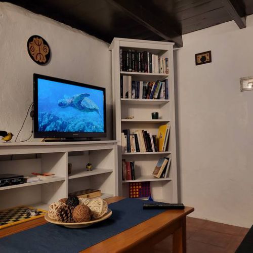 TV‑Möbel und Bücherregal