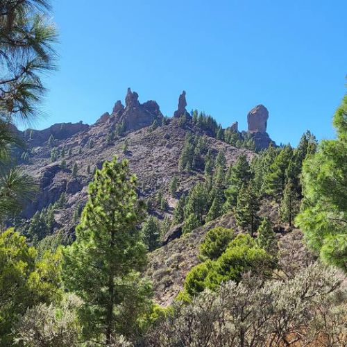 View from Roque Nublo