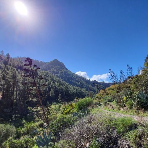 5 minutes from the house